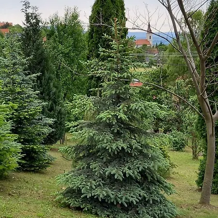 Дом отдыха In 42694 *
